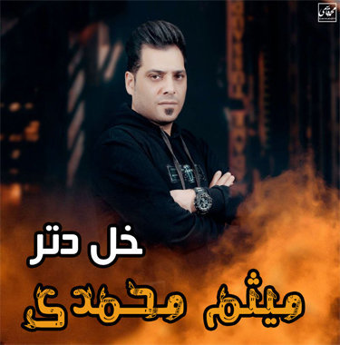 میثم محمدی خل دتر